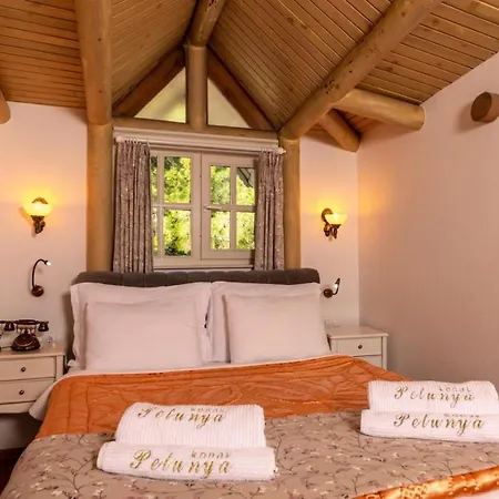 Petunya Boutique 3* İçmeler