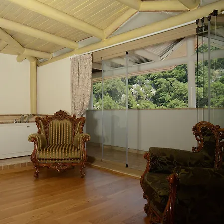 Petunya Boutique 3* İçmeler